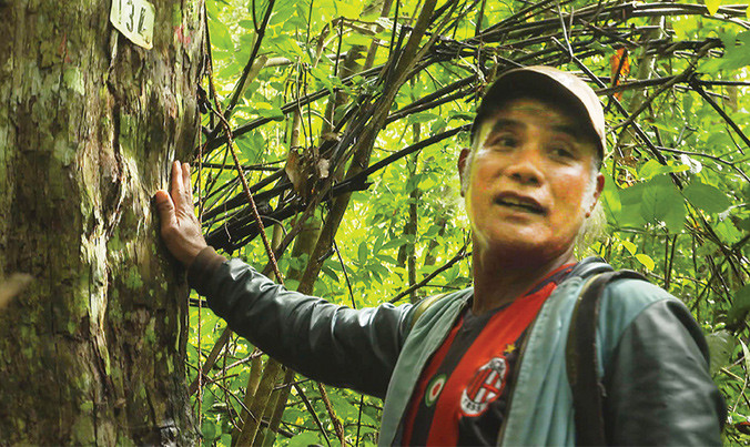 Trở về sau cuộc chiến chống Fulro, ông K’Ten luôn đau đáu với rừng già.