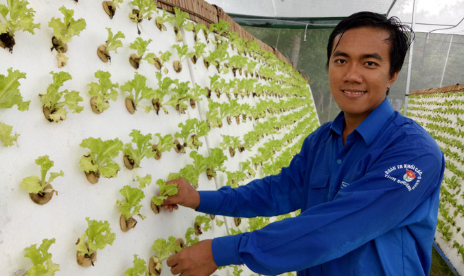 Anh Dương Minh Trung bên vườn rau khí canh công nghệ cao của mình. Ảnh: Hòa Hội.