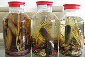 Ảnh minh hoạ: Internet