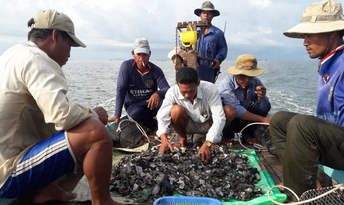 Số nghêu được cào lên chỉ còn vỏ.