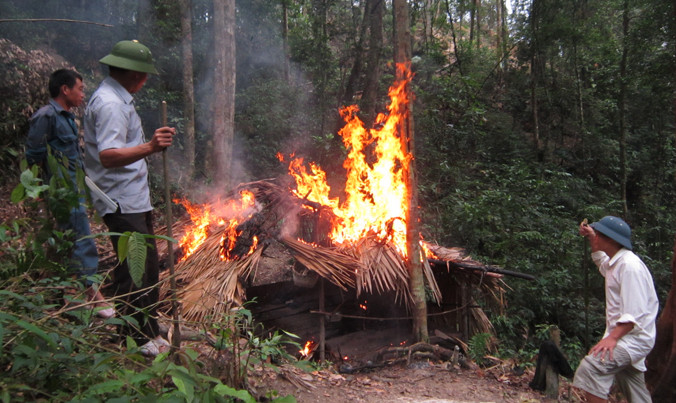 Lực lượng chức năng đốt lán của đối tượng khai thác đá quý tại đồi Tỷ, xã Xuân Lẹ, huyện Thường Xuân, tỉnh Thanh Hóa. Ảnh: Hoàng Lam.