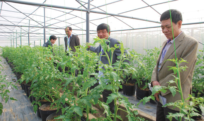 Theo TS Nguyễn Đức Kiên, việc lập ngân hàng đất đai, có thể giúp các DN có diện tích đất sạch đủ lớn để đầu tư công nghệ sản xuất. Ảnh: Bình Phương.