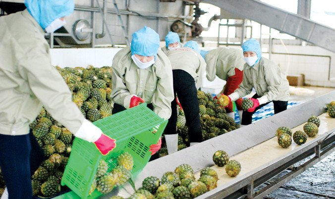 Lấn cấn gói vay 100 ngàn tỷ cho nông nghiệp