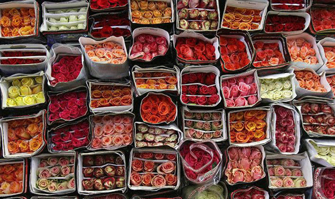 Một cửa hàng hoa ở Mátxcơva.