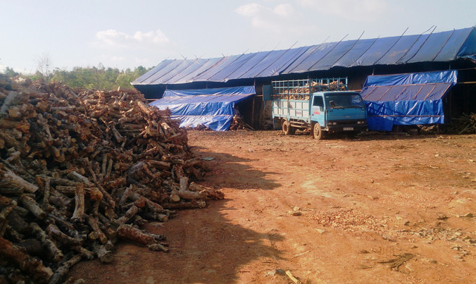 Cán bộ địa chính xã Đliê Ya không biết lò than xây dựng trên đất nông lâm nghiệp.