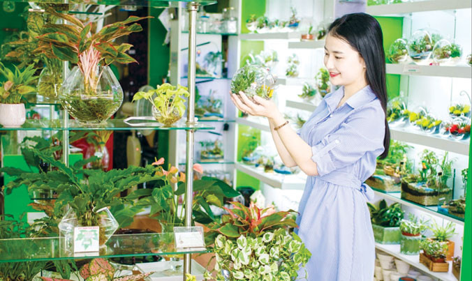 Giới trẻ thích thú với thú chơi mới.