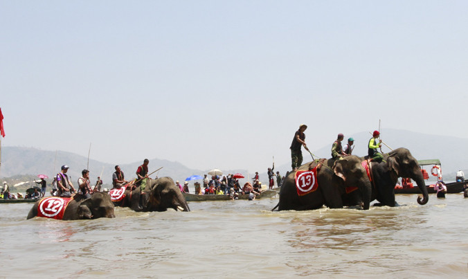 Voi thi chạy dưới nước.