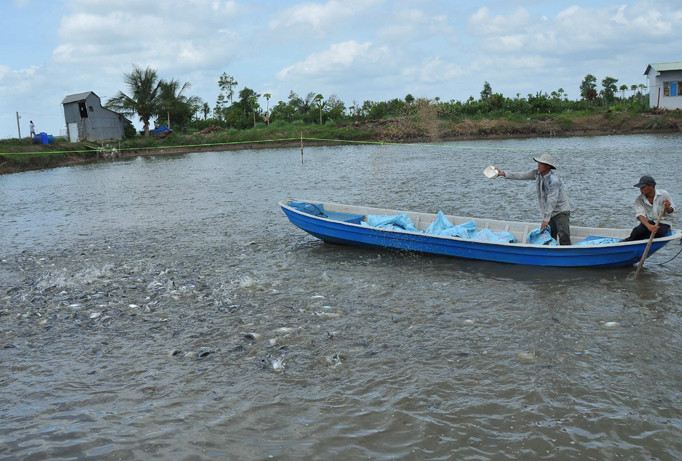 Nông dân nuôi trồng thủy hải sản đang gặp khó khi muốn tiếp cận các nguồn vốn vay ưu đãi. Ảnh: Hòa Hội.