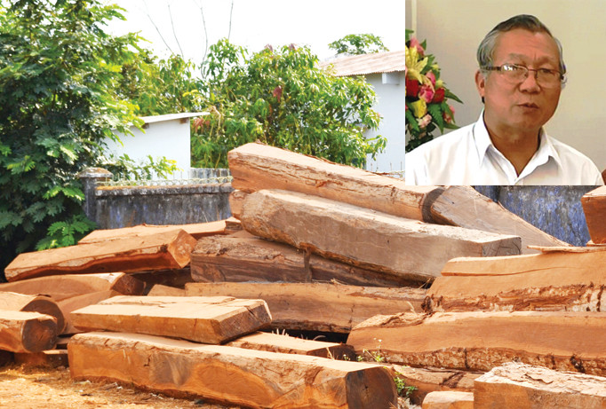 Lâm tặc lợi dụng việc chuyển đổi rừng nghèo trồng cao su để khai thác gỗ (ảnh lớn); Cựu Chủ tịch UBND tỉnh Gia Lai Phạm Thế Dũng (ảnh nhỏ). Ảnh: PV.