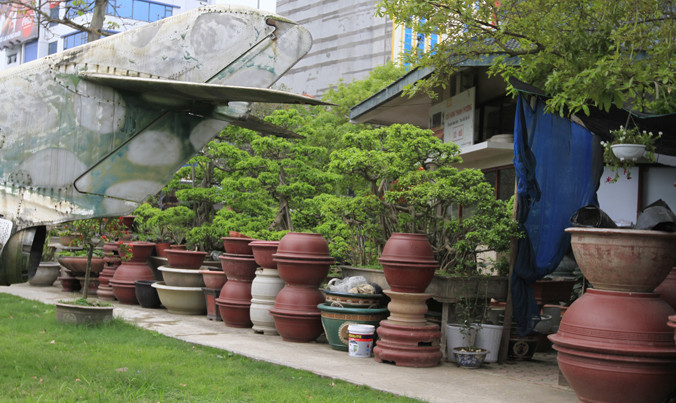 Kinh doanh cây cảnh, đồ gốm tại Bảo tàng Phòng không - Không quân. Ảnh: T. Phong.