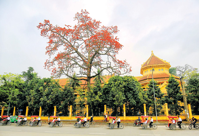 Một góc nhìn Bảo tàng Lịch sử Quốc gia Việt Nam hiện nay. Ảnh: Nhật Minh.