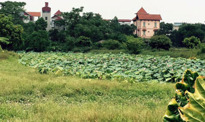 Khu đất công bị biến thành đất tư ở Đông Anh, Hà Nội. Ảnh: P.V.