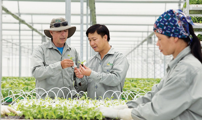 Mô hình nông nghiệp công nghệ cao của tập đoàn VinGroup. Ảnh: Bình Phương.