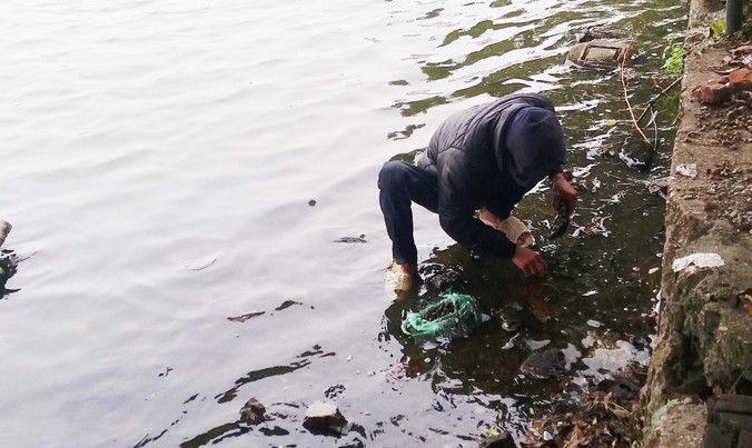 Bắt lại vật phóng sinh ở hồ Tây