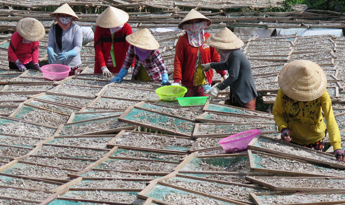 Làng khô cá biển cửa Sông Đốc. Ảnh: Tiến Hưng.