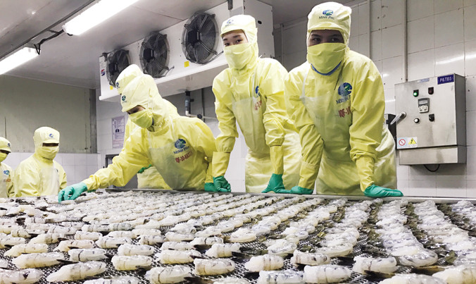 Bộ trưởng Nguyễn Xuân Cường yêu cầu ráo riết thanh kiểm tra, xử lý việc sử dụng kháng sinh, bơm tạp chất vào tôm. Ảnh: Bình Phương.