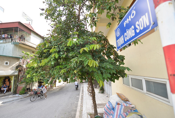Phố Trịnh Công Sơn.