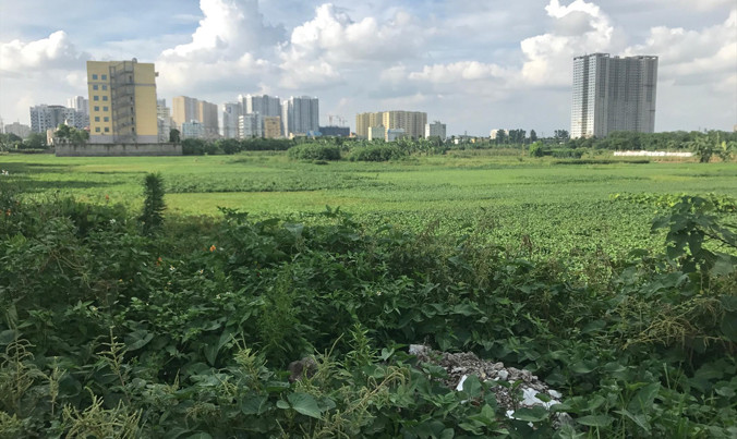 Khu đất dự án BV Đa khoa Quang Trung bị đề nghị thu hồi vì chậm triển khai gần 8 năm nay.