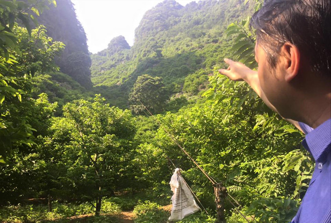 “Mỏ vàng” của người Chi Lăng trên dãy Kai Kinh hùng vĩ. Ảnh: Duy Chiến.