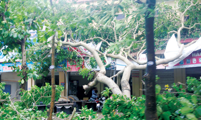 Bão số 2 đã gây hậu quả nghiêm trọng cho người dân Nghệ An, Hà Tĩnh.