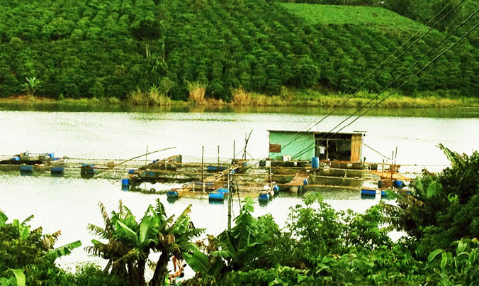 Vùng quê trù phú của người Hà Nội trên cao nguyên.