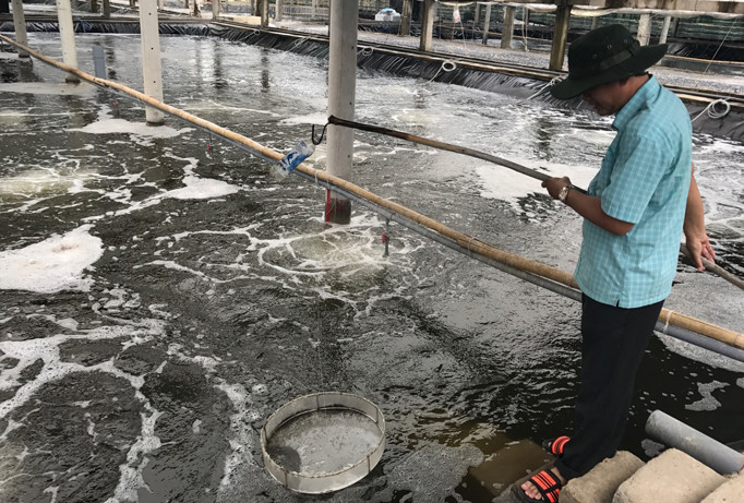 Mặc dù không vay được vốn, nhưng Công ty Đức Thắng đã đầu tư 200 tỷ đồng để thực hiện dự án nuôi tôm theo công nghệ sạch.