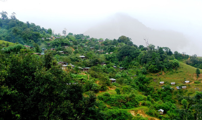 Làng Tu Tunh nơi có khu rừng rốn độc đáo.