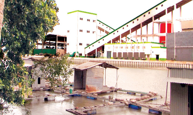 Các bè cá ngừng hoạt động do nước bị ô nhiễm từ Nhà máy giấy Lee&Man. Ảnh: VOV - ĐBSCL.