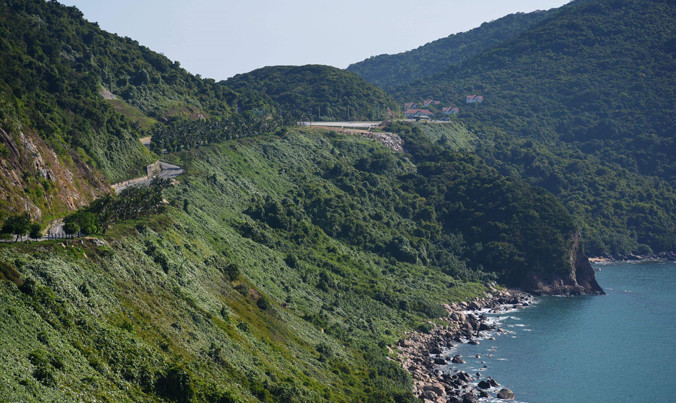 Sơn Trà là báu vật cần được gìn giữ.