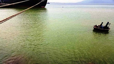 Nước biển Chân Mây vẫn vàng đục, xuất hiện cá chết