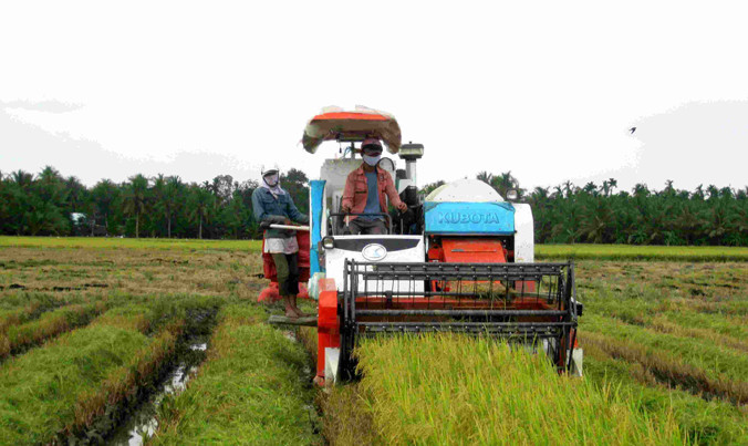 Người dân ĐBSCL cần được tạo điều kiện vay vốn để phát triển sản xuất. Ảnh: PV.