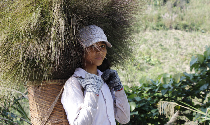 Em Hồ Thị Thắm (bản La Lay, xã A Ngo, Đakrông) tranh thủ ngày nghỉ học vào rừng hái đót giúp ba mẹ. Ảnh: H.T.