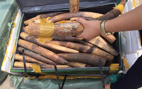 Ảnh minh họa. Nguồn Internet