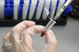 Ảnh minh họa: Internet