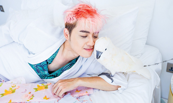 Người ta nổi tiếng sau một đêm