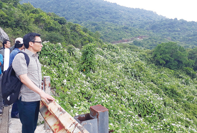 Phó Thủ tướng Vũ Đức Đam trong lần khảo sát thực tế tại bán đảo Sơn Trà vào trưa ngày 27/5/2017​. Ảnh: Nguyễn Thành.