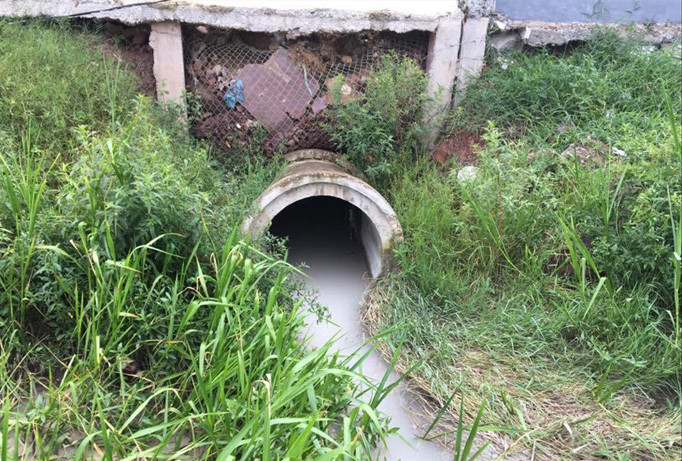 Cống chảy chất thải màu trắng đục ra bên ngoài ruộng của người dân.