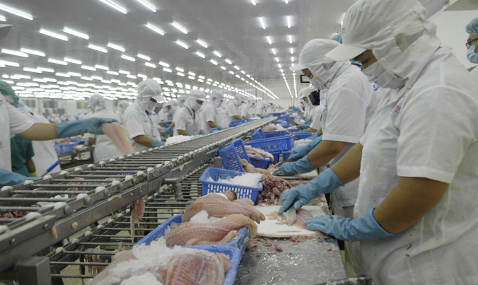 Ngành cá tra và thủy sản VN đang có tiềm năng xuất khẩu lớn nhưng cũng không ít khó khăn. Ảnh: Cảnh Kỳ.