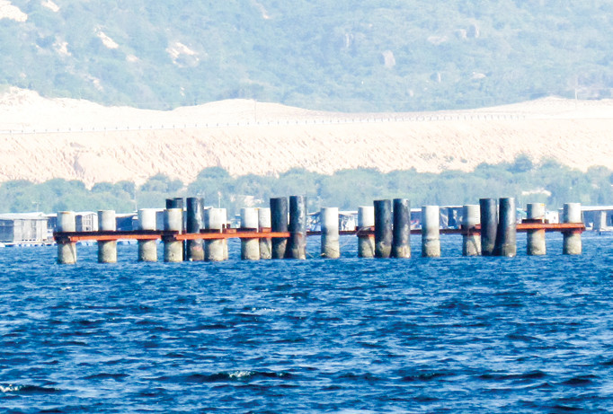 Hàng cọc đóng dang dở, dấu vết còn lại của dự án CTCQT Vân Phong.