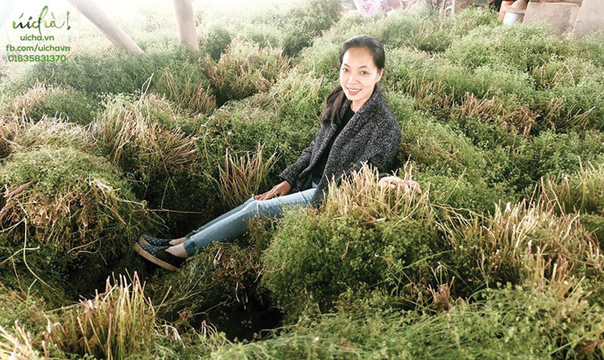 Ðạo diễn Nguyễn Hoàng Ðiệp có ngày dùng hết 2 tấn mùi già để sản xuất hương liệu Úi Chà.