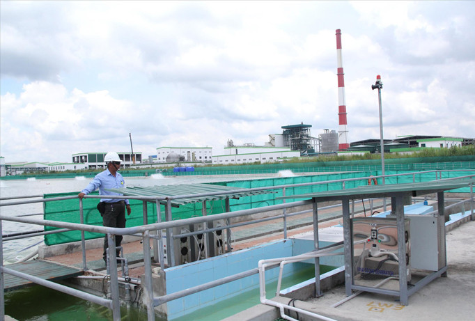 Khu vực xử lý nước thải của nhà máy giấy Lee&Man.