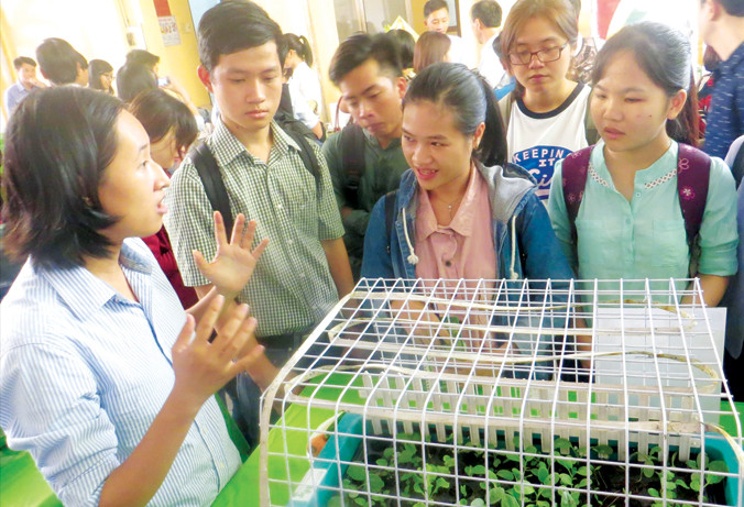 Nhiều bạn trẻ hào hứng với các dự án kiểu “nhà quê”. Ảnh: U.P.