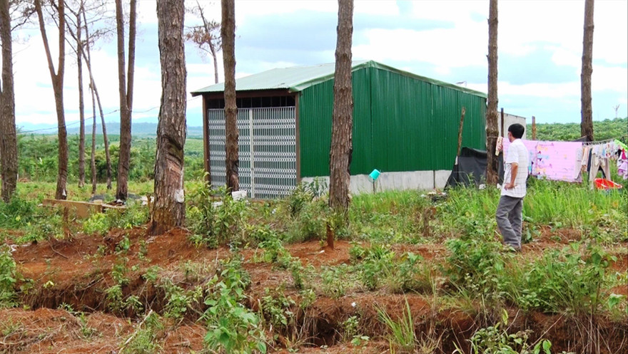 Xây nhà trái phép trên lâm phần do Cty Nguyên Vũ quản lý.