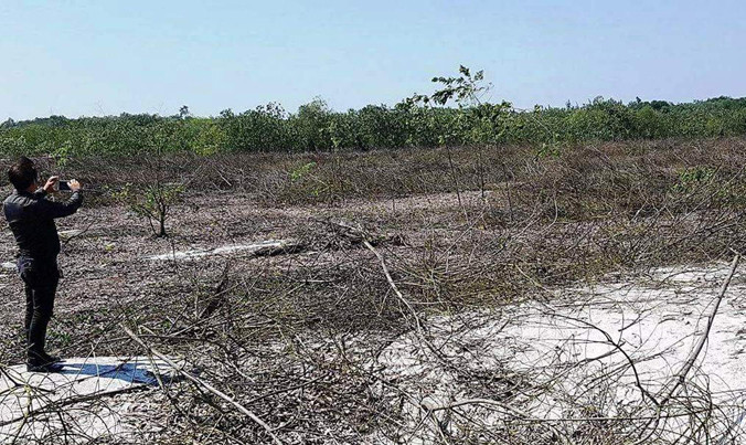 Vùng rừng bị phá làm hồ tôm “lậu” tại Vinh Mỹ trở thành “hoang mạc” mênh mông.