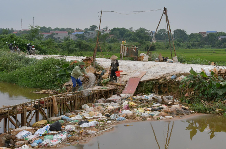 Lợn chết nổi trên kênh khu vực xã Hoàng An, huyện Hiệp Hoà, Bắc Giang. Ảnh: B. Phương