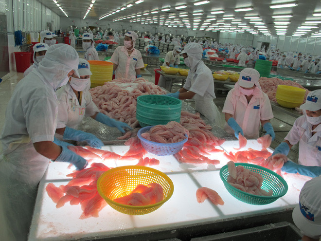 Cá là tra là một trong những ngành hàng xuất khẩu tăng trưởng ngoạn mục năm 2018,với kim ngạch đạt 2,26 tỷ USD (tăng 26,4%)