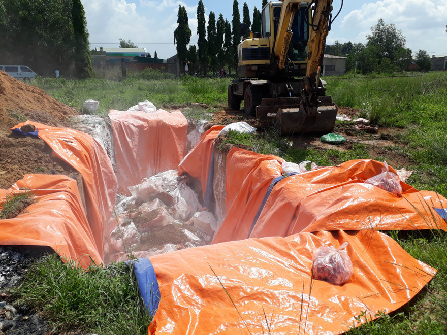 Đồng Nai đang thiếu kinh phí hỗ trợ người chăn nuôi tiêu hủy lợn bệnh 