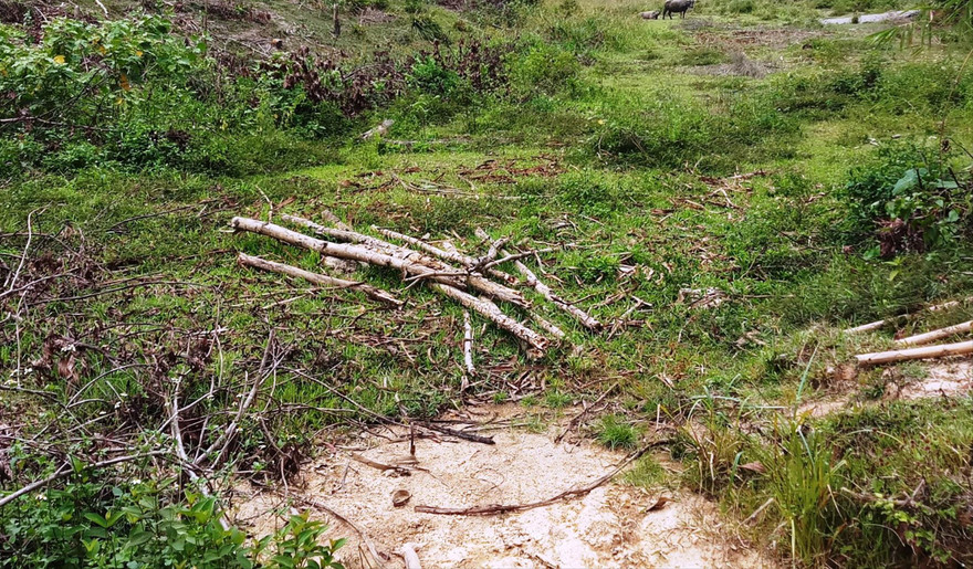 Con suối này ở xã Phú Vinh, huyện A Lưới, tỉnh Thừa Thiên – Huế đã không còn nước 