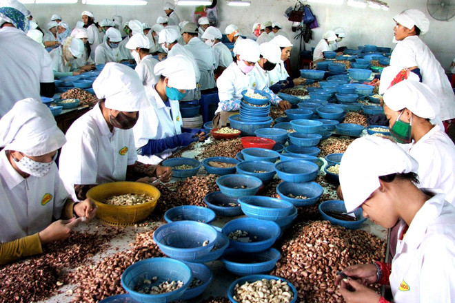 Xuất khẩu nông sản đang là lợi thế của Việt Nam Ảnh: H.Vĩnh