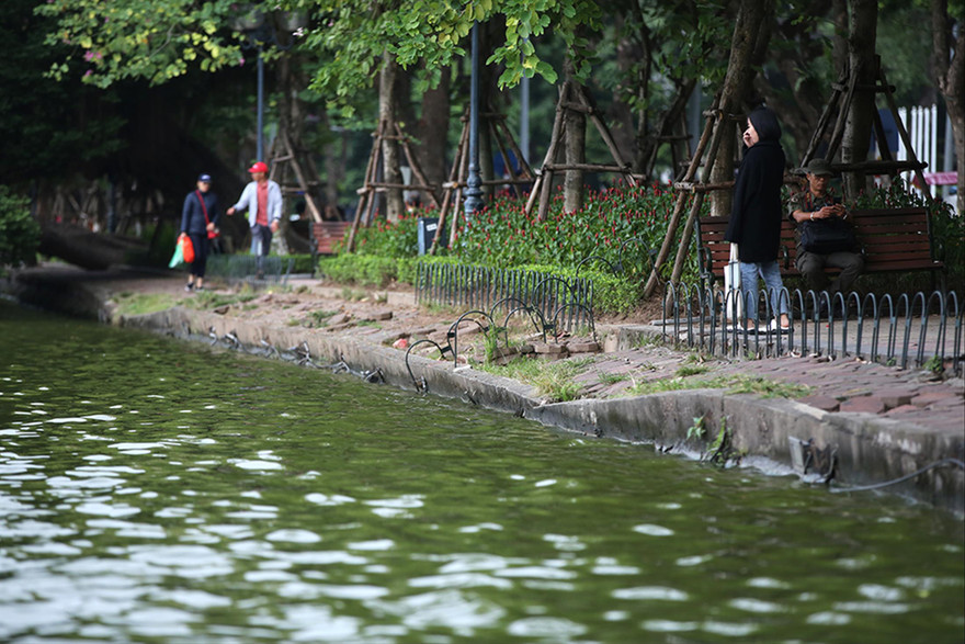 Giáo sư Hoàng Đạo Kính khuyến cáo việc cải tạo phải giữ được đường cong tự nhiên của bờ hồ Gươm Ảnh: Hoàng Mạnh Thắng